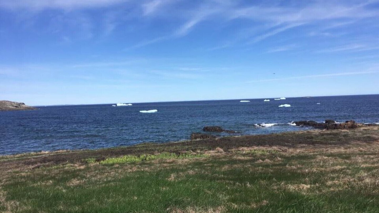 Photo of Others in Bonavista