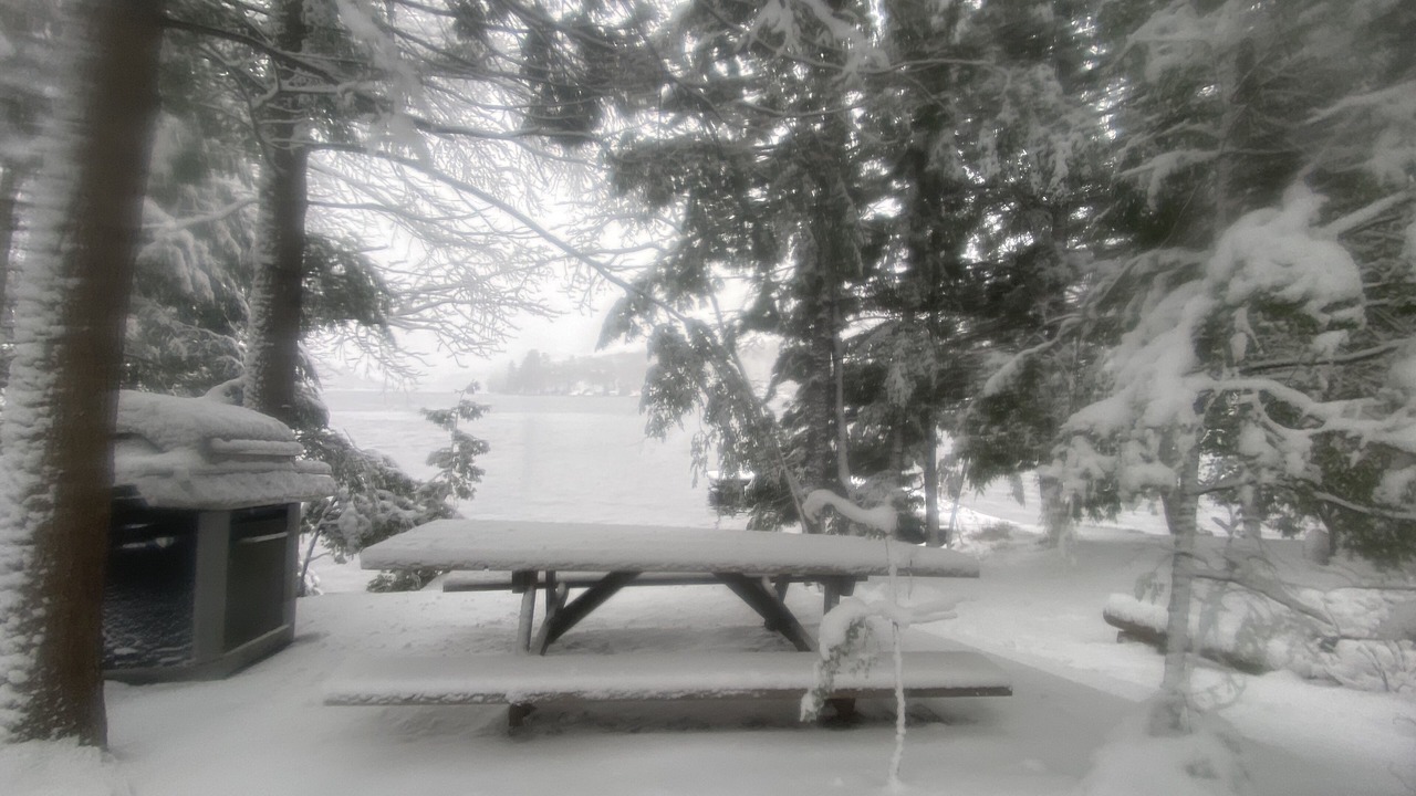 Photo of Outdoor in Chelsea