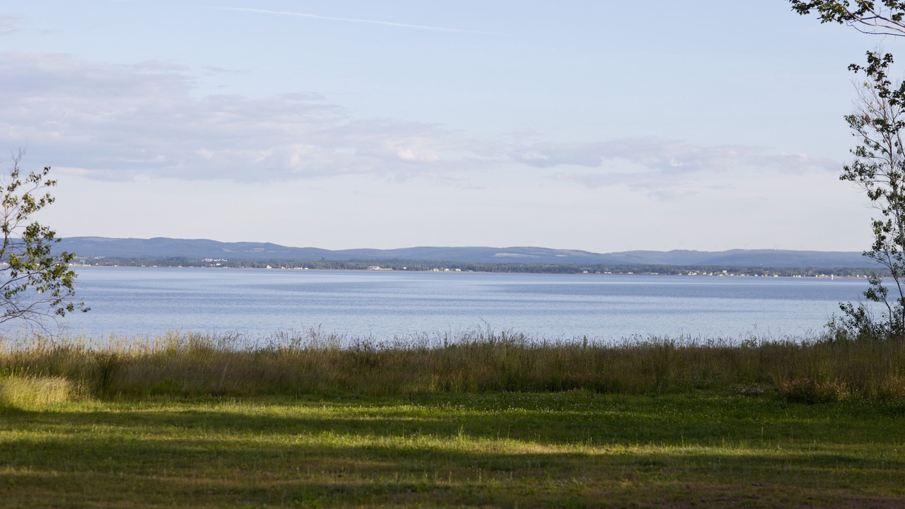 Photo of Others in Malagash