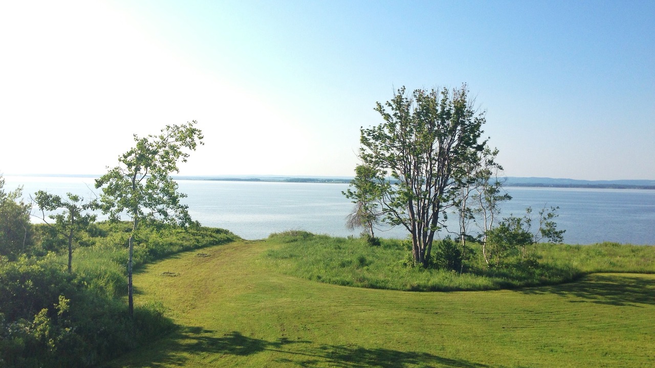 Photo of Others in Malagash