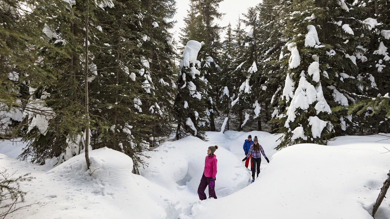 Photo of Others in Sun Peaks