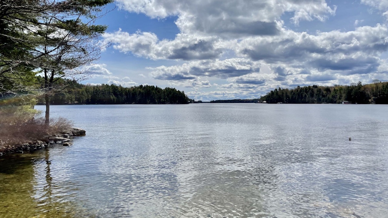 Photo of Others in Muskoka Lakes