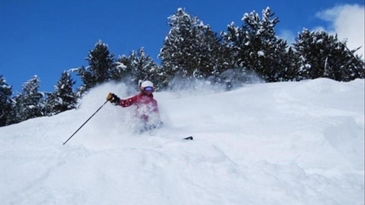 Photo of Others in East Kootenay