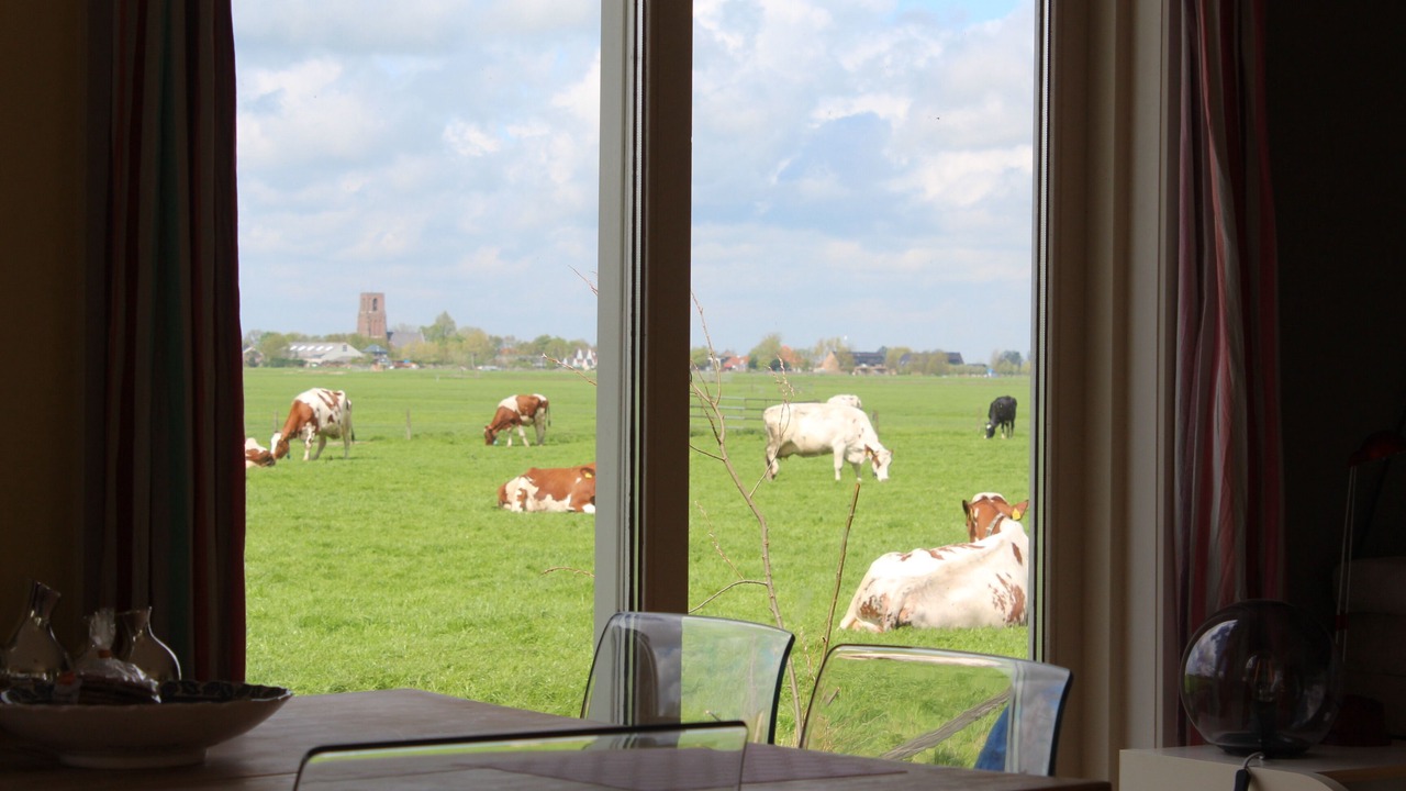 Photo of Others in Amsterdam North