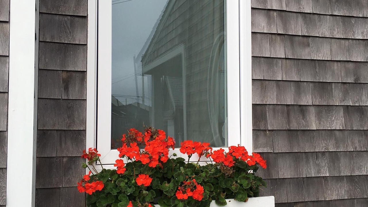 Photo of Outdoor in Prospect