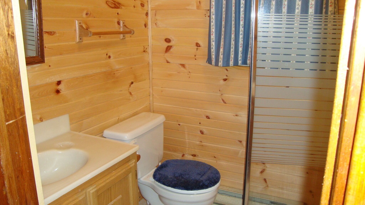 Photo of Bathroom in Bala