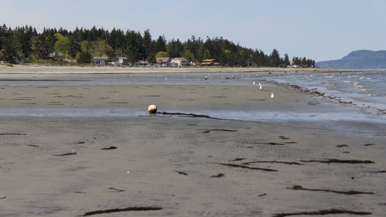 Photo of Others in Regional District of Nanaimo