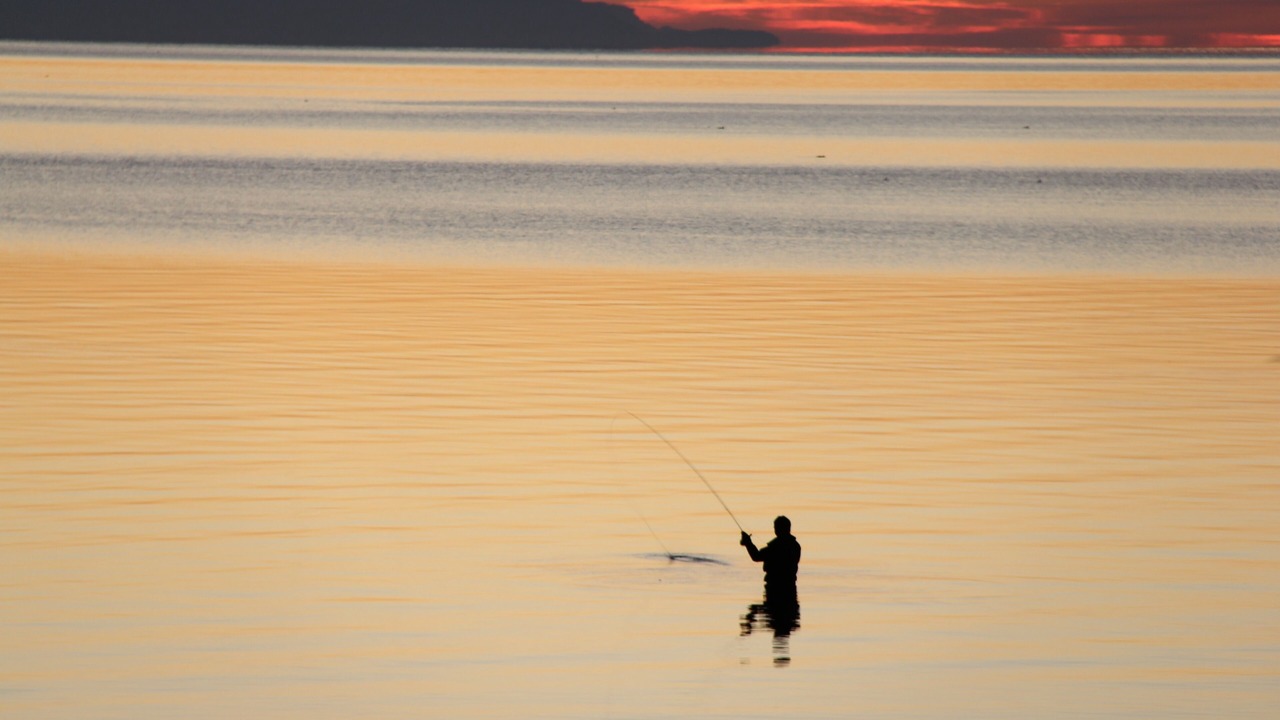 Photo of Others in Regional District of Nanaimo