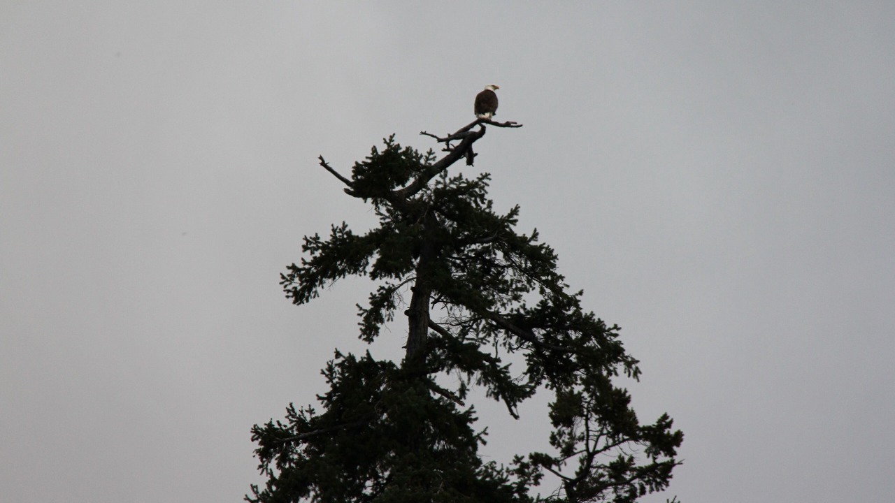 Photo of Others in Regional District of Nanaimo