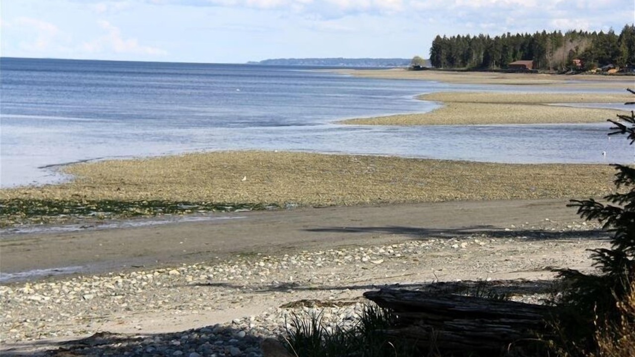 Photo of Others in Regional District of Nanaimo