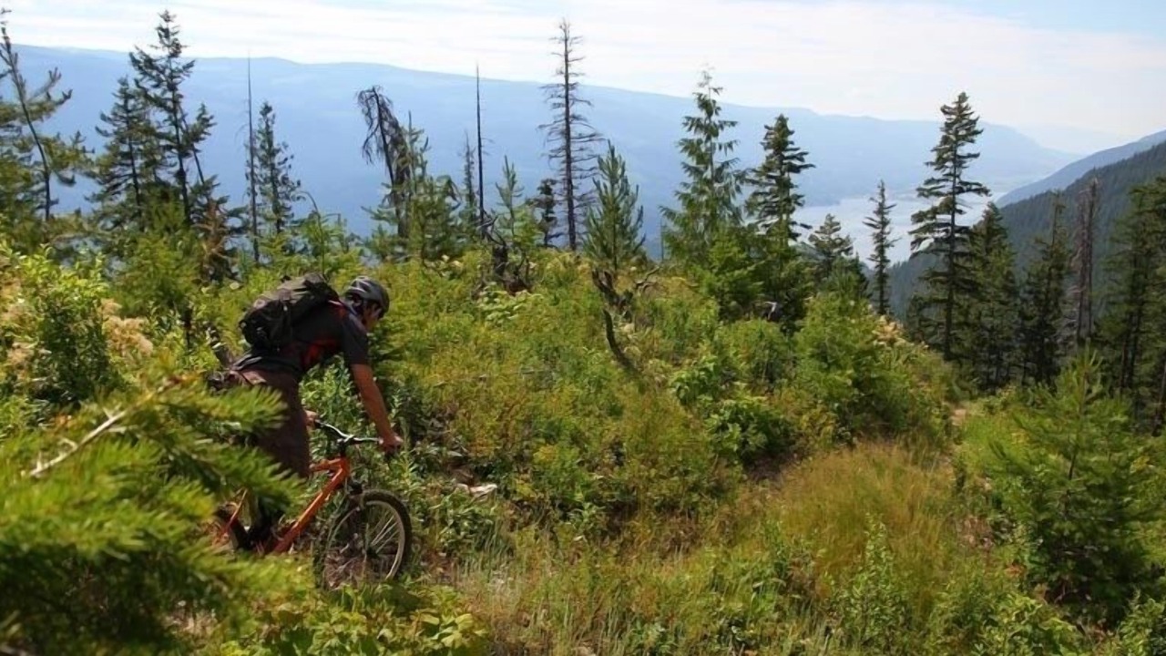 Photo of Others in Salmon Arm
