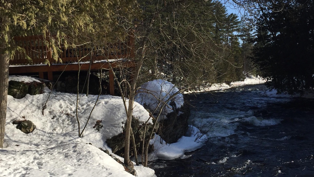 Photo of Others in North Frontenac