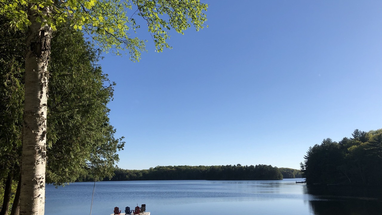 Photo of Others in Utterson