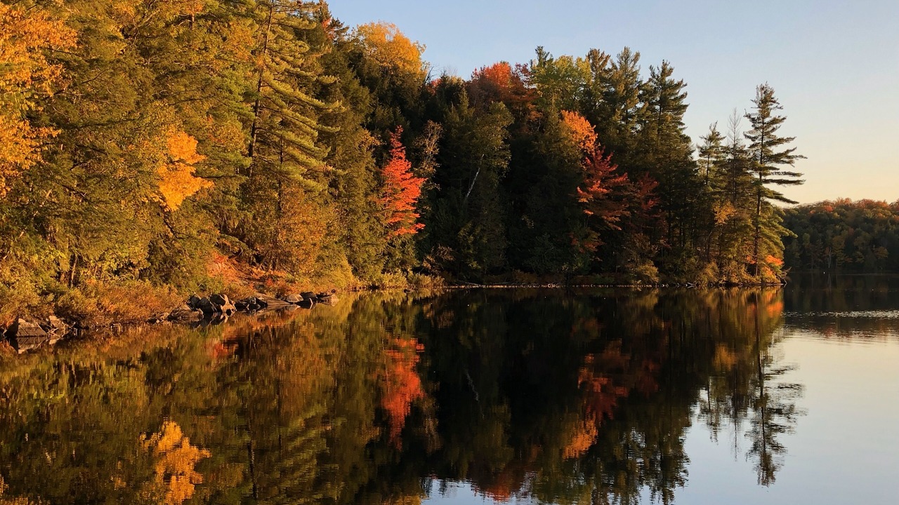 Photo of Others in Utterson