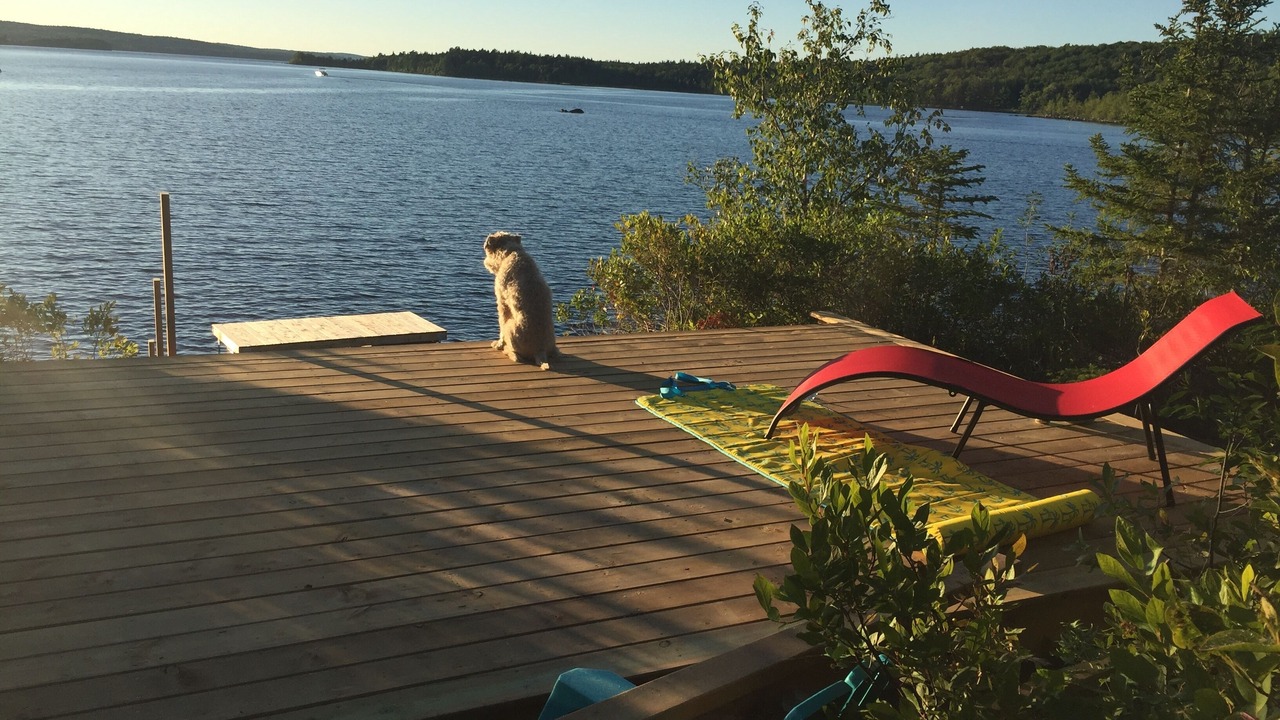 Photo of Outdoor in Lunenburg County