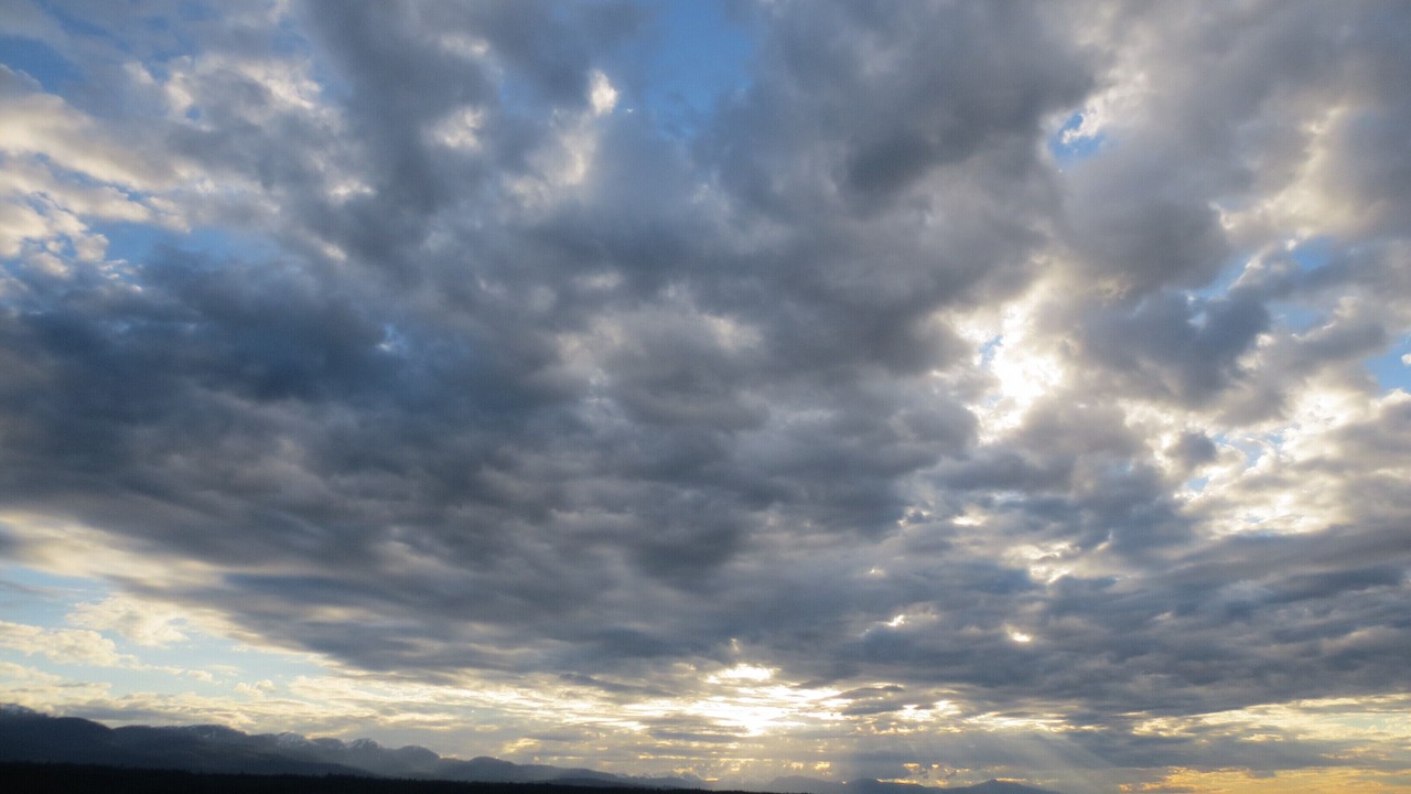 Photo of Others in Hornby Island