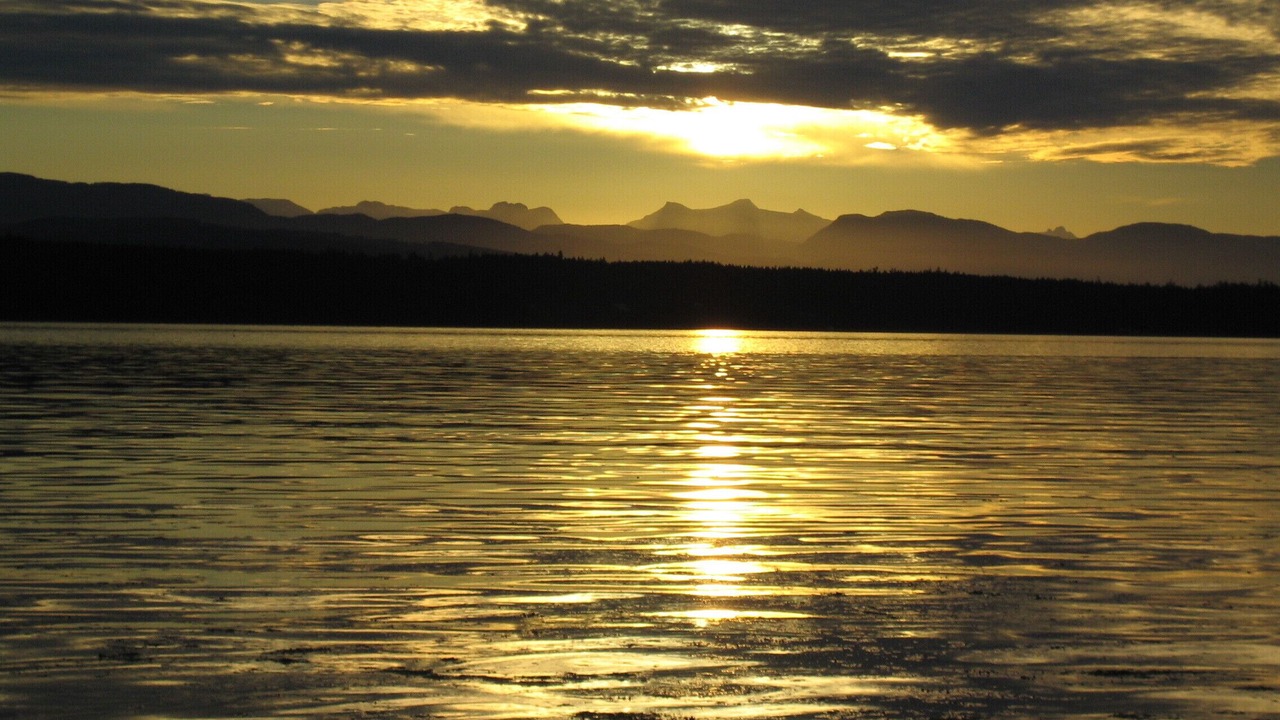 Photo of Others in Hornby Island
