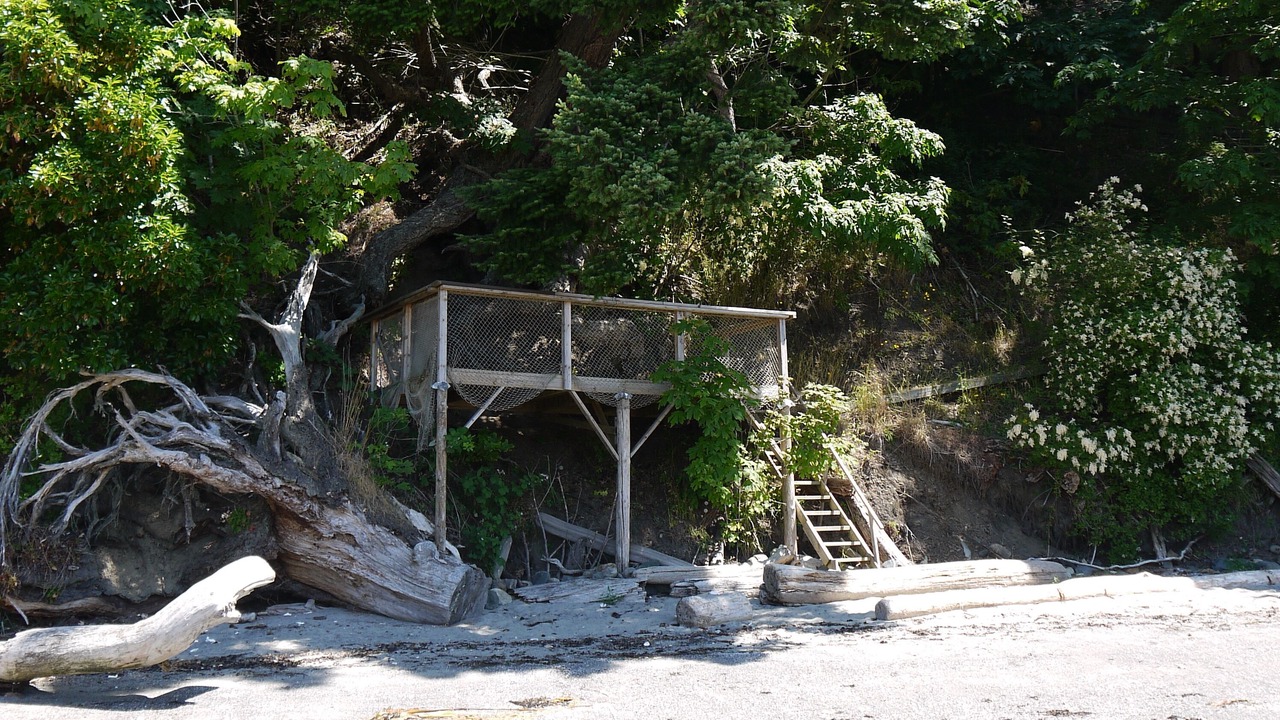 Photo of Others in Hornby Island