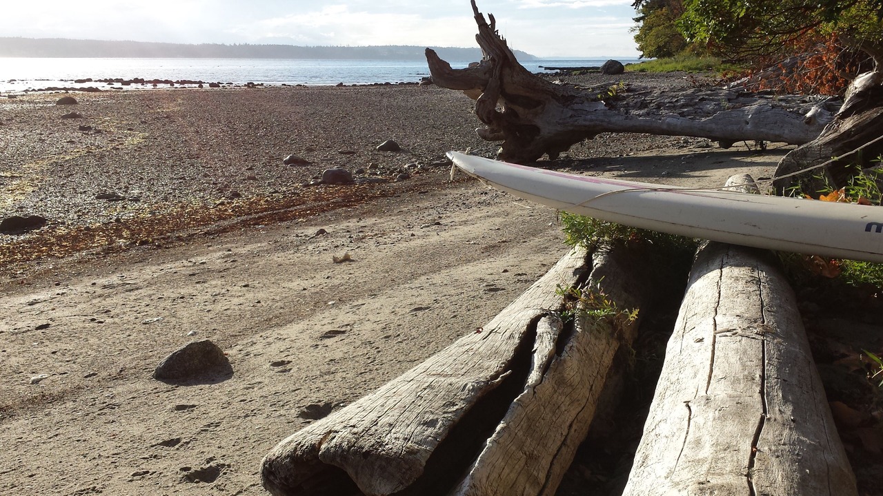 Photo of Others in Hornby Island