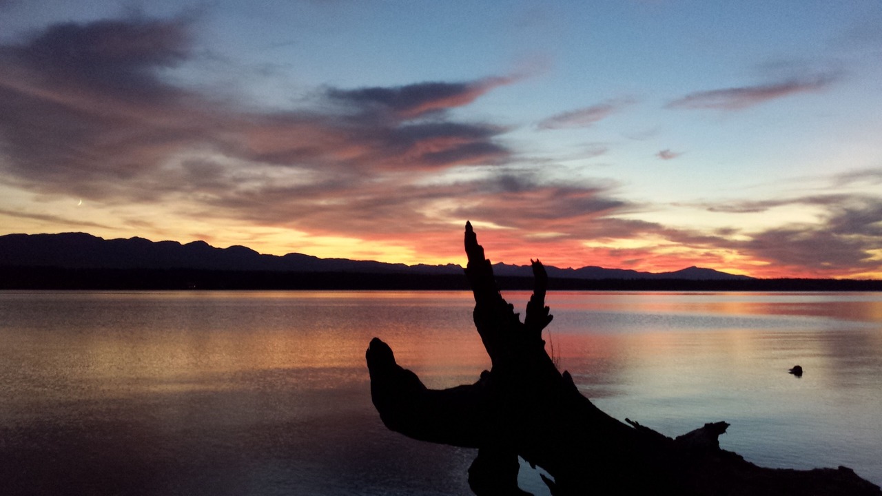 Photo of Others in Hornby Island