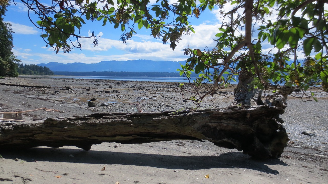 Photo of Others in Hornby Island
