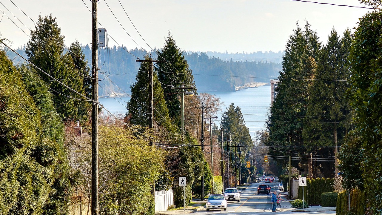 Photo of Others in Hollyburn
