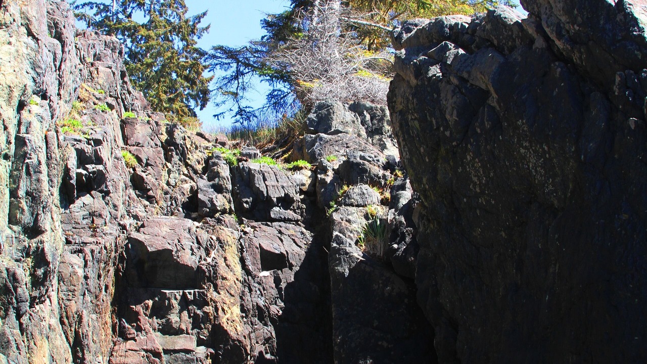 Photo of Others in Otter Point