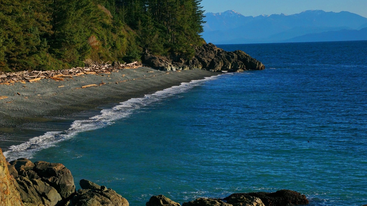 Photo of Others in Otter Point