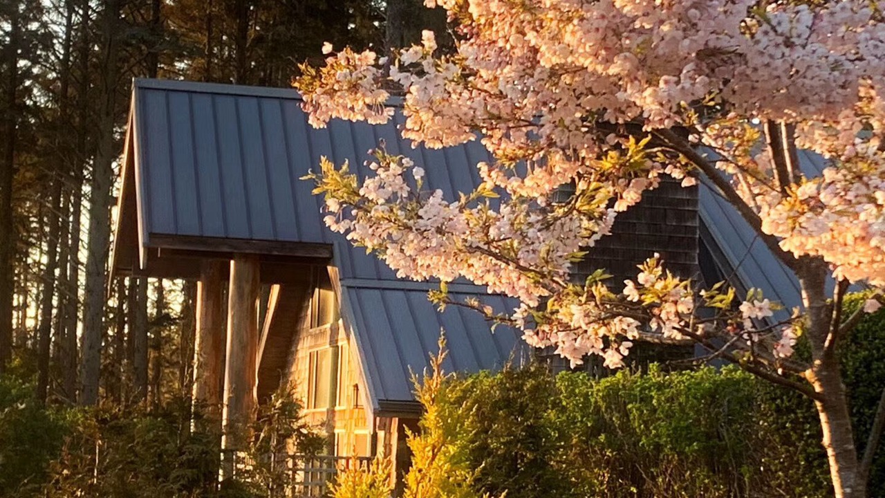 Photo of Outdoor in Otter Point