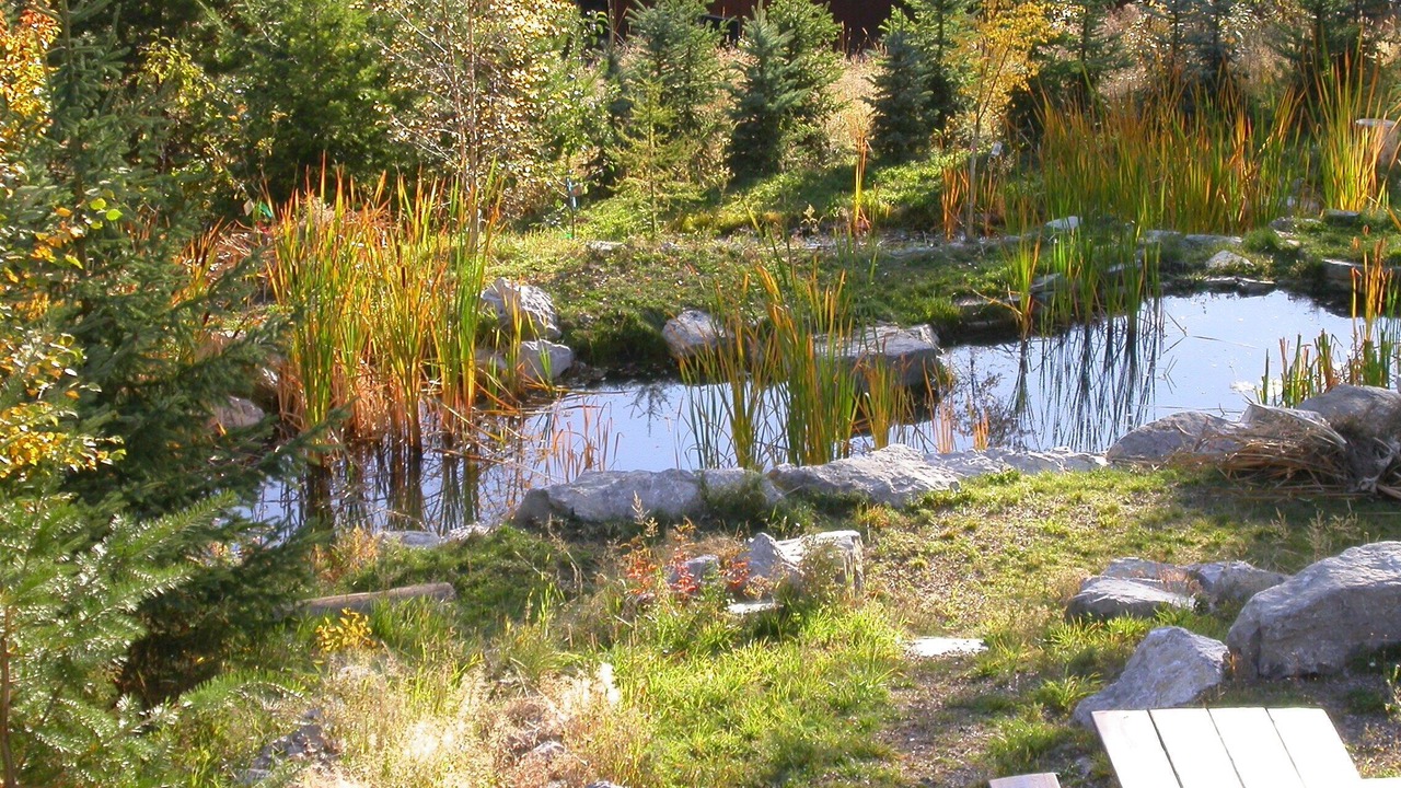 Photo of Others in East Kootenay
