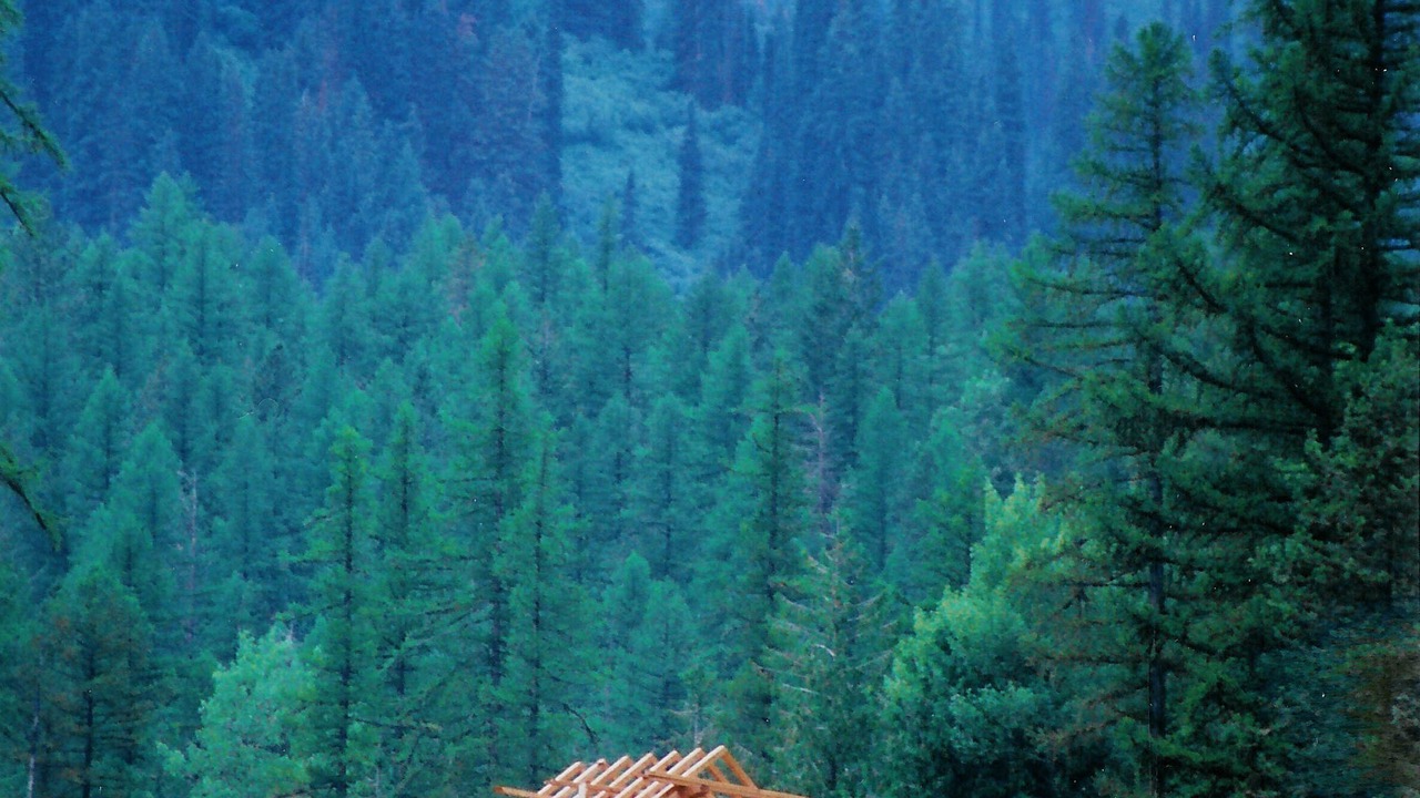 Photo of Others in East Kootenay