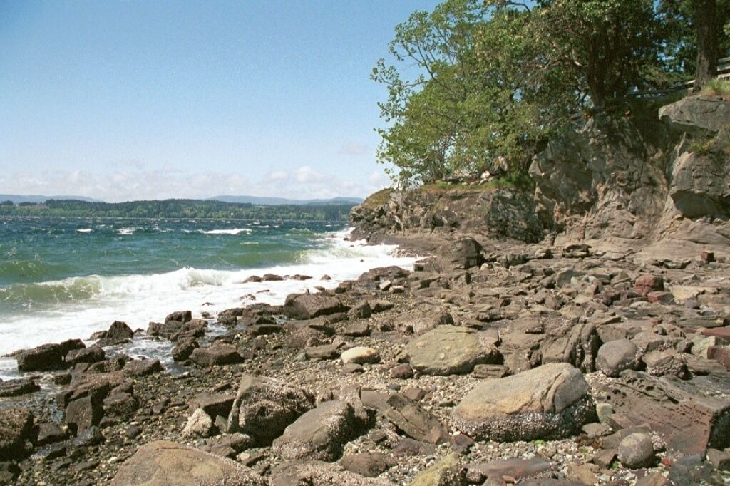 Photo of Others in Sidney