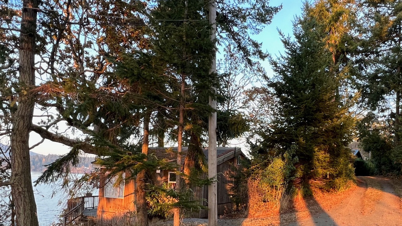 Photo of Outdoor in Sidney