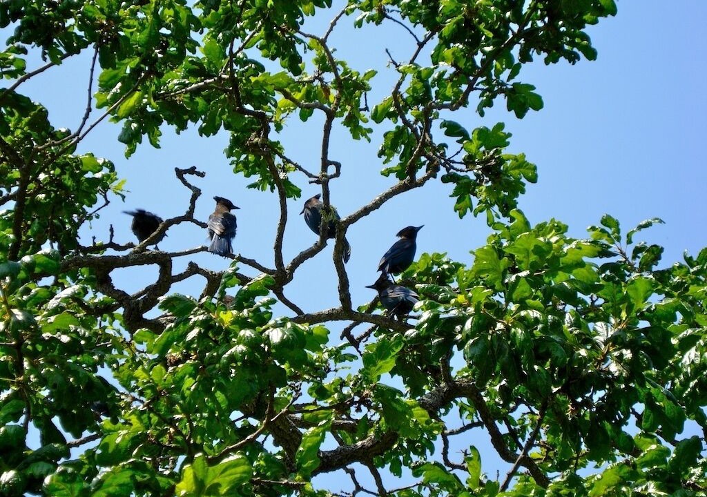 Photo of Others in Sidney
