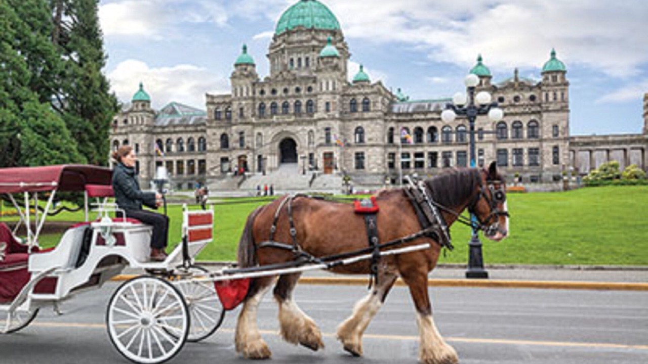 Photo of Others in Inner Harbour