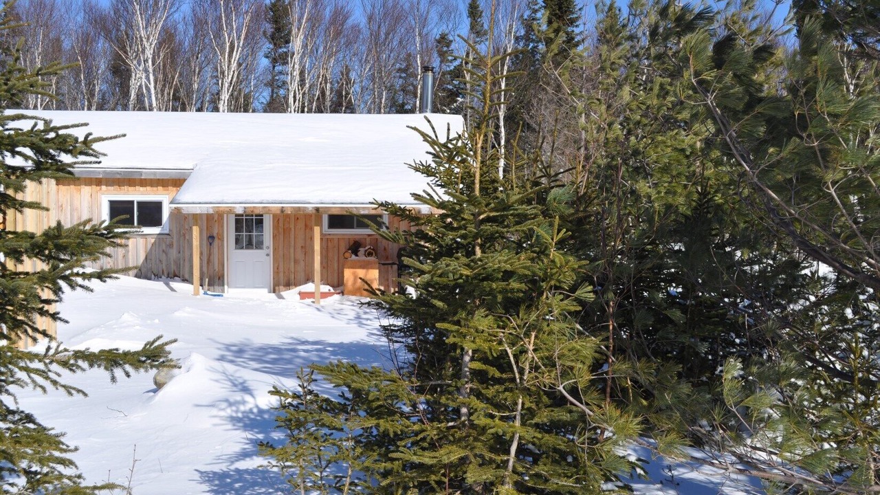 Photo of Outdoor in Birch Plain