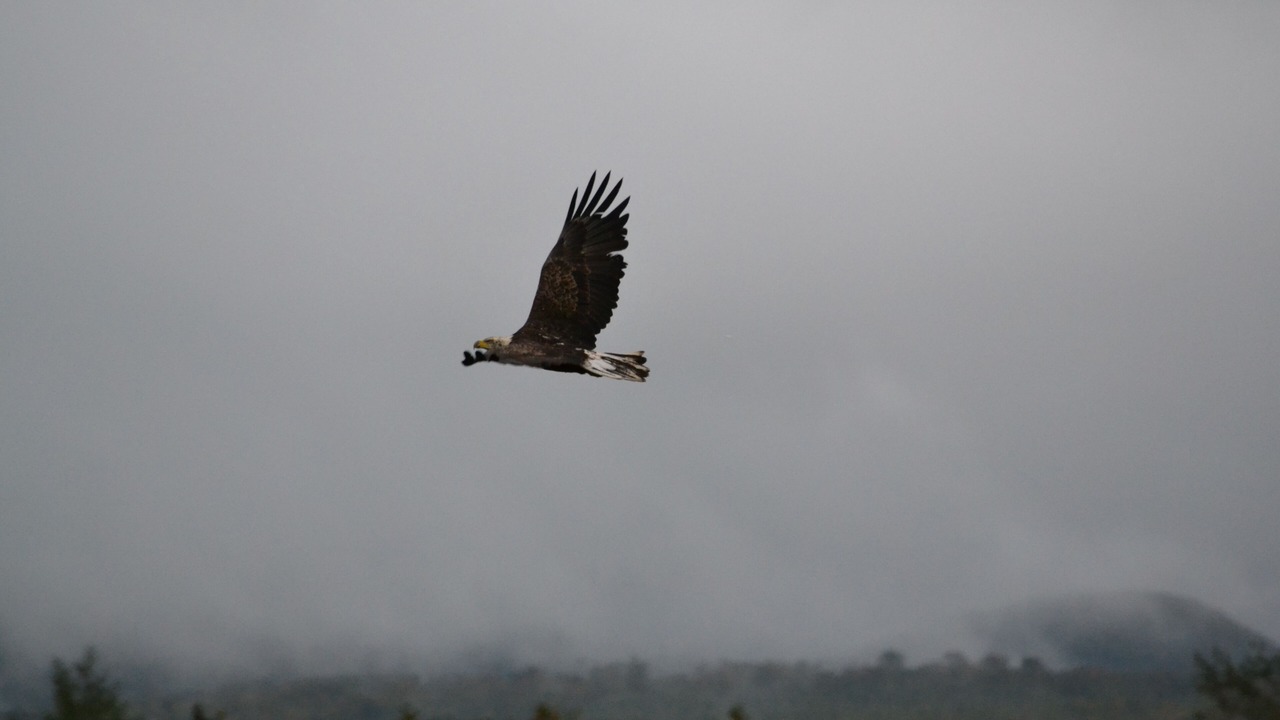 Photo of Others in Cheticamp