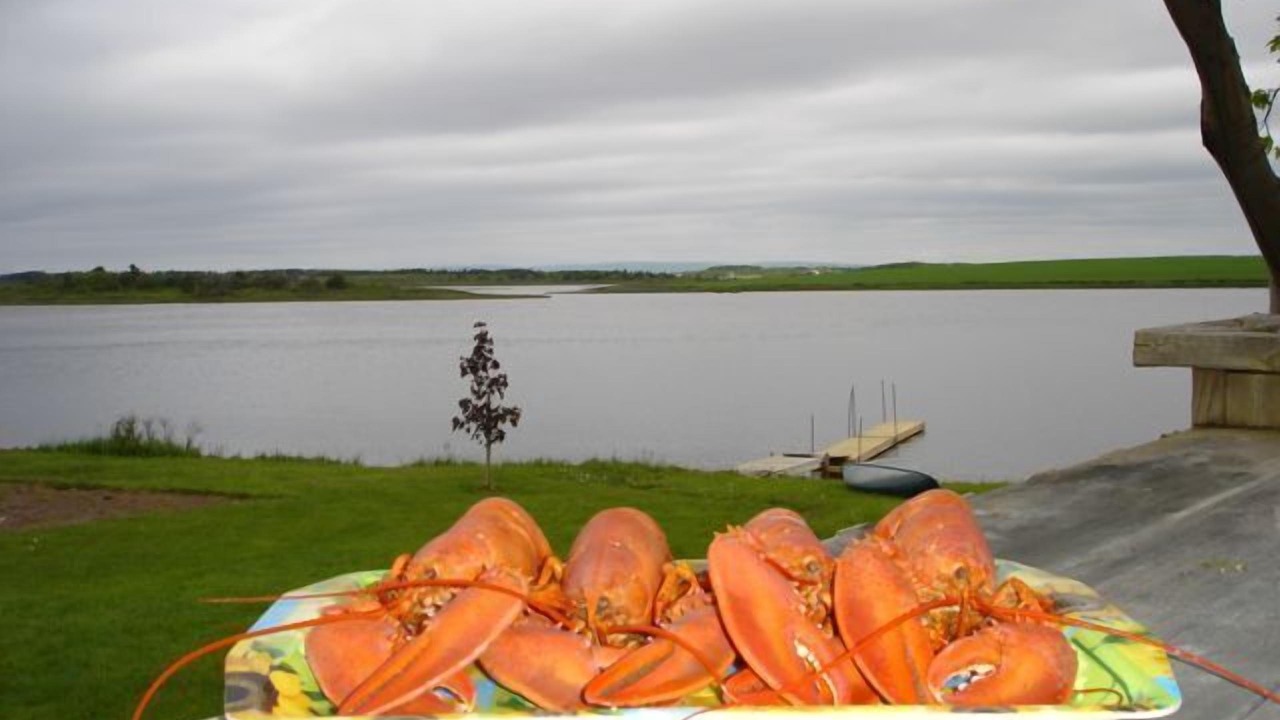 Photo of Others in Tracadie
