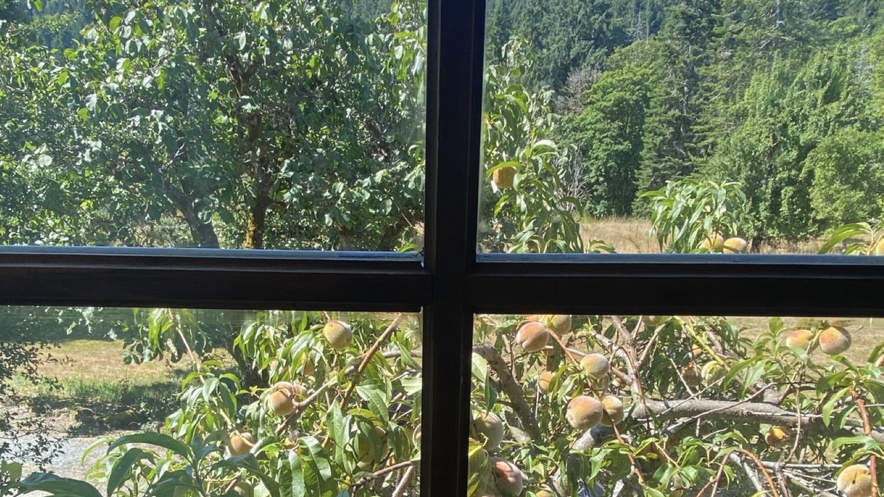 Photo of Others in Salt Spring Island