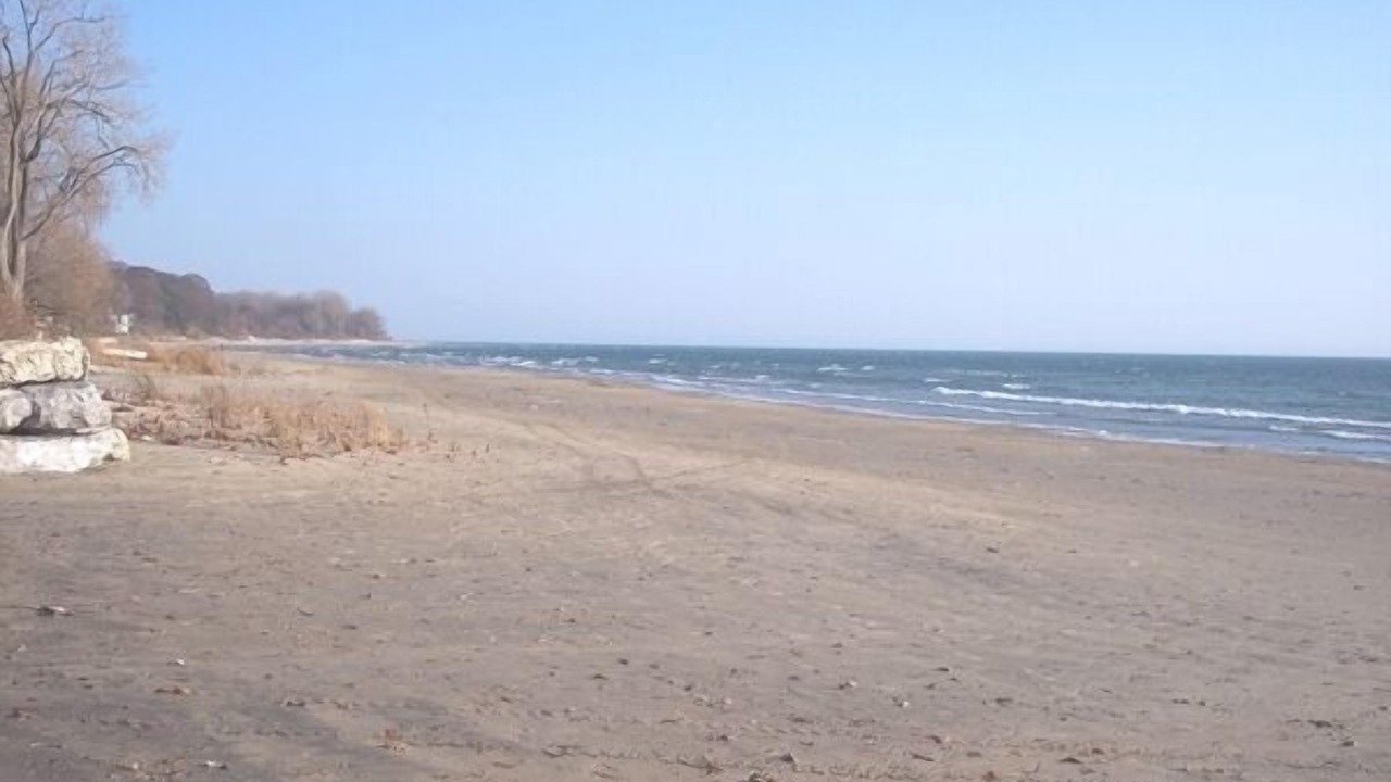 Photo of Others in Fort Erie