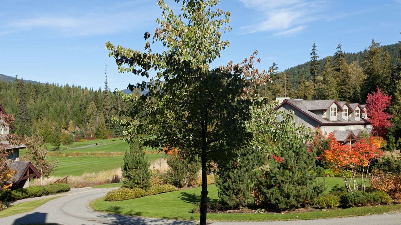 Photo of Outdoor in Blackcomb