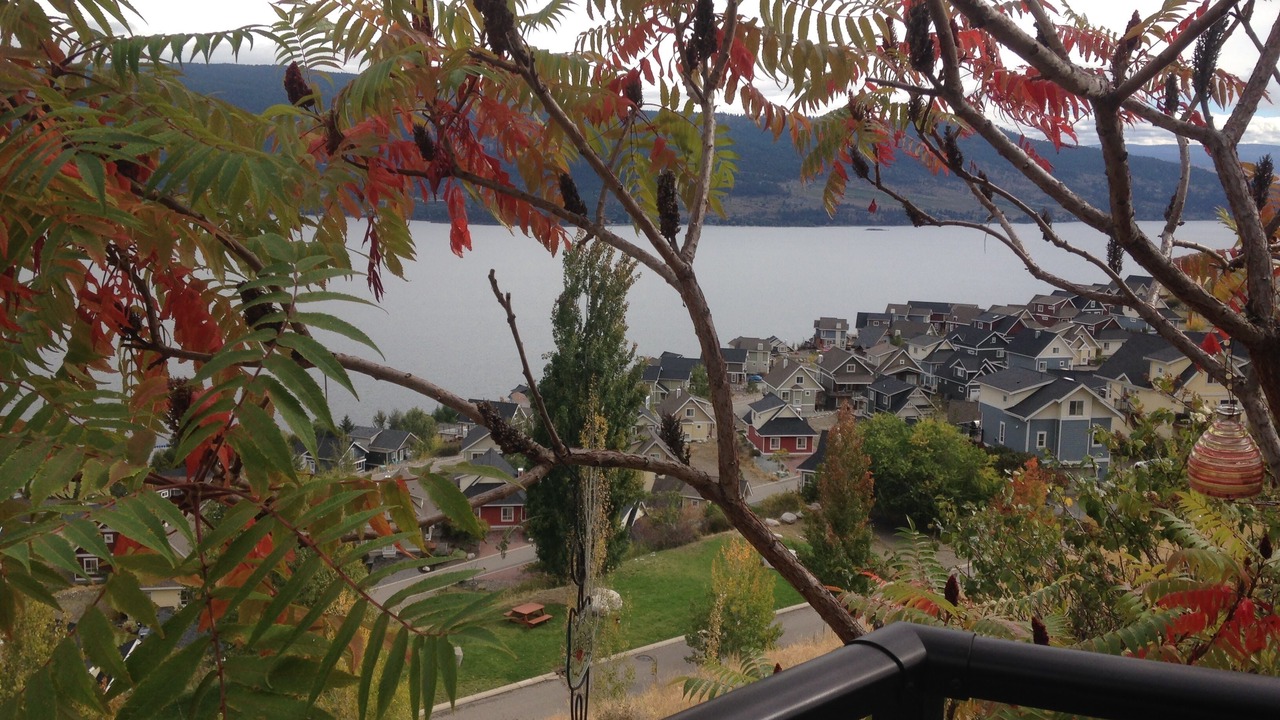 Photo of Outdoor in Central Okanagan