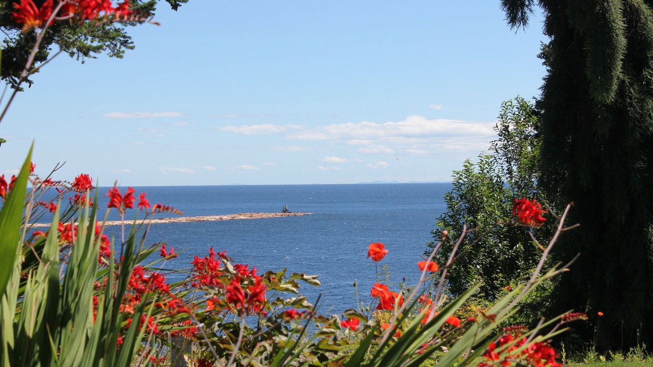 Photo of Others in West Sechelt