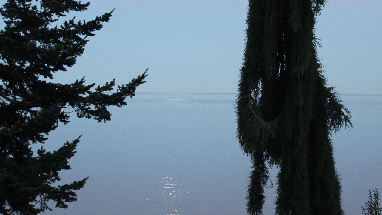 Photo of Others in West Sechelt