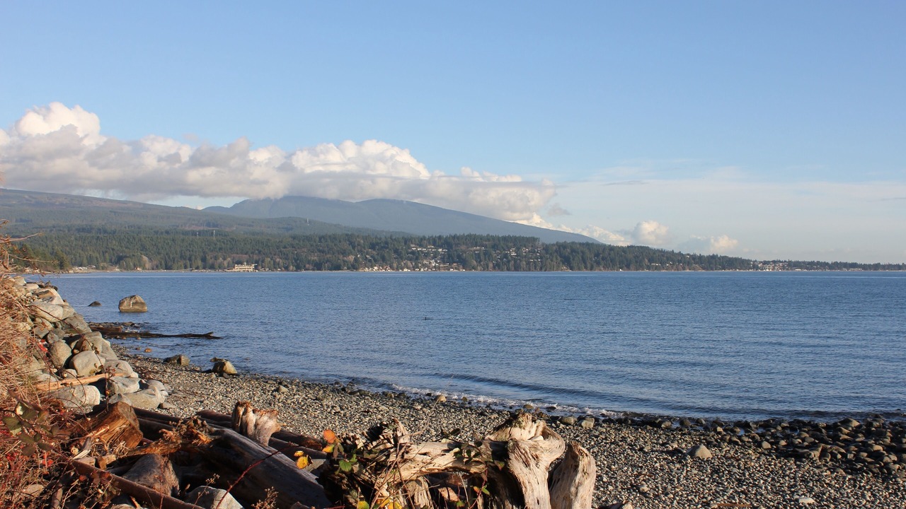 Photo of Others in West Sechelt