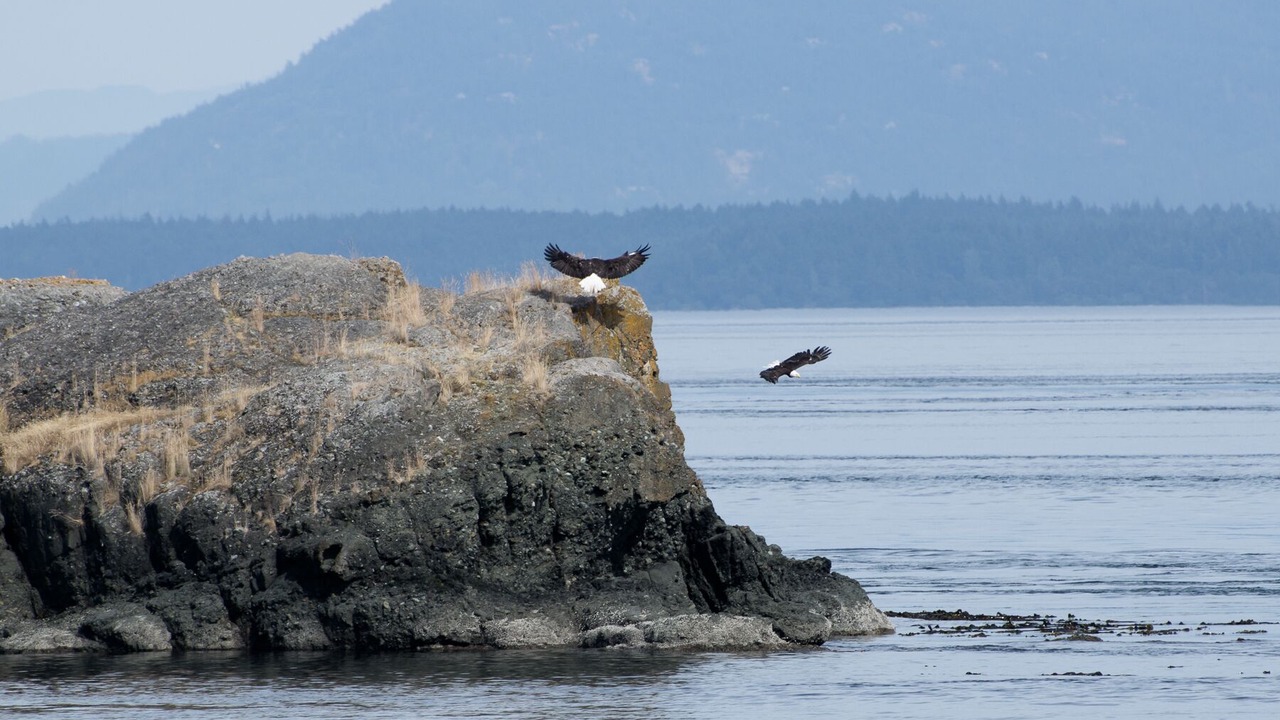 Photo of Others in Pender Island
