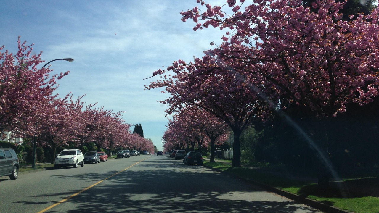 Photo of Others in West Point Grey