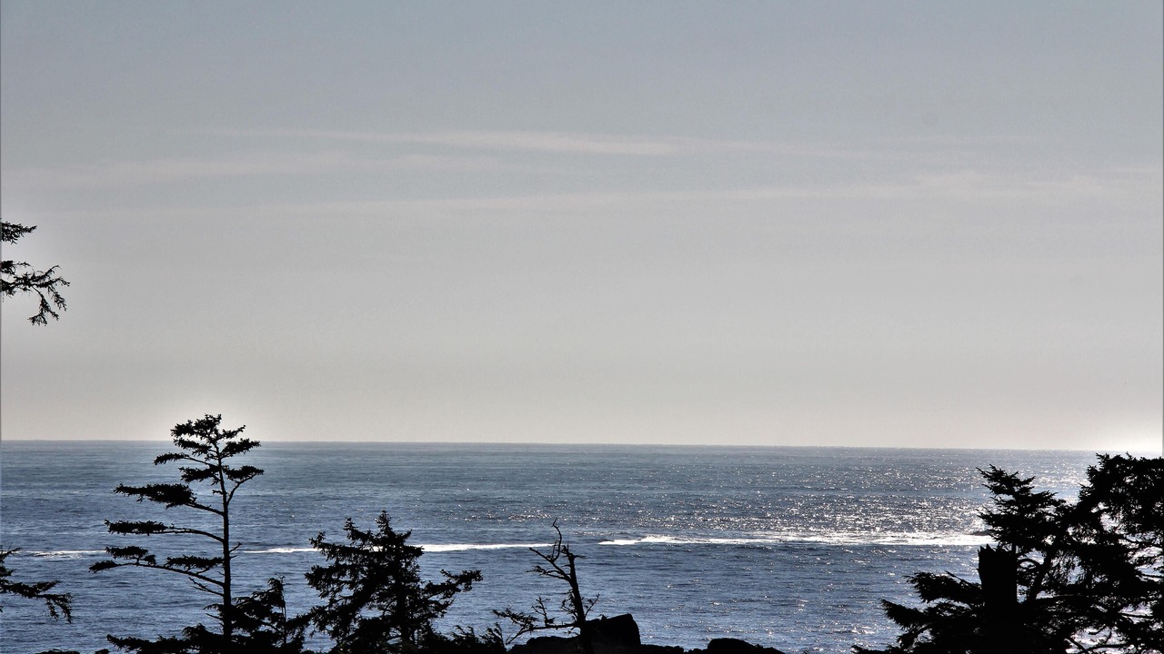 Photo of Others in Ucluelet