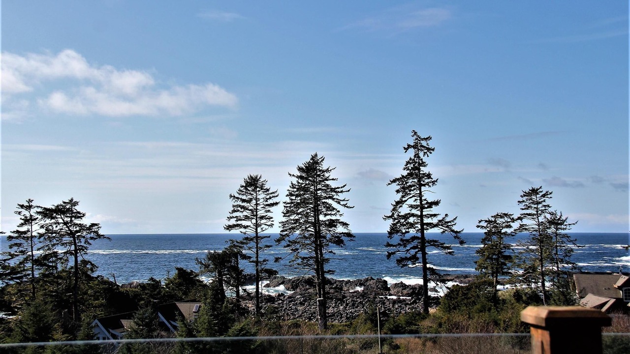 Photo of Others in Ucluelet