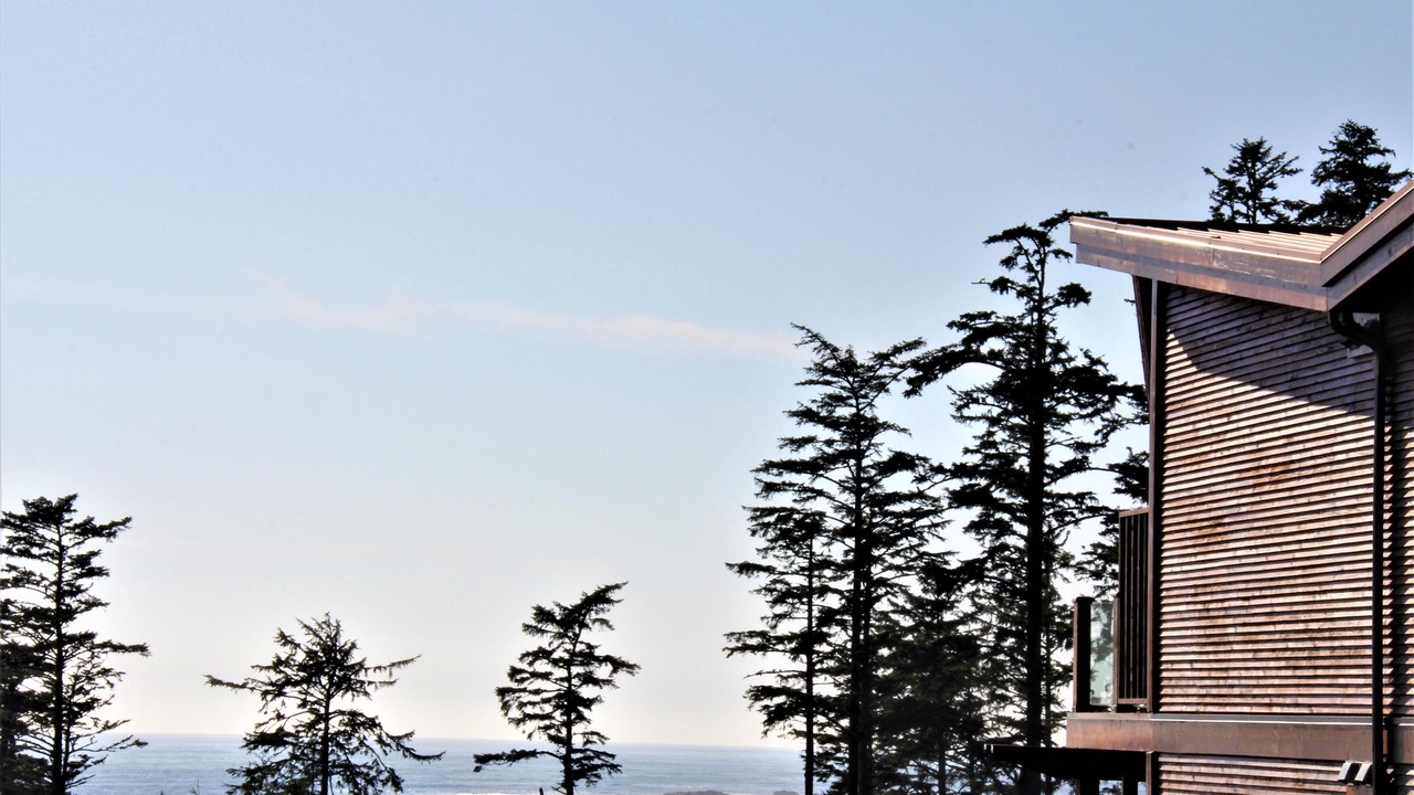 Photo of Others in Ucluelet